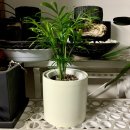 보통의날들 이미지