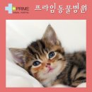 구리동물병원 이미지