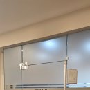 아프리카 동물병원 | 24아프리카동물병원 후기