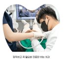 호평나무치과의원 이미지