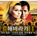 항아리민박 이미지