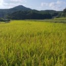 슬기태양광발전소 이미지