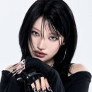 돌고래헬스클럽 이미지