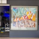 카스인대구