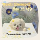 포레그스 이미지