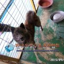 은평-031 이미지