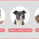의성펫월드 오토캠핑장 이미지