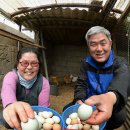 누룩재마을 이미지