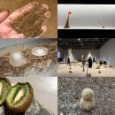 수상작가와 수상작품 세계 맛보기 | [전시] 소멸의 시학: 삭는 미술에 대하여🍊 | 국립현대미술관 서울