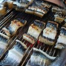 풍천장어 이미지