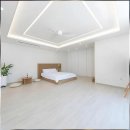 스테이소솜 이미지