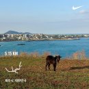 박관용 | 왓마블3