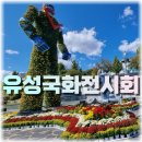 한살림 유성푸드통합지원센터 | 대전 유성국화전시회 행사, 가수, 임시 주차장, 주차 꿀팁(feat.국화 축제 후기)