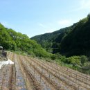 자연애농장 이미지