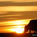 아름다운 나라 이미지