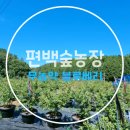 숲뒤농장 이미지