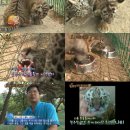 규화농장 TV리포트