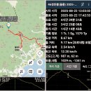 대원사뒤 성인봉 입구 | 울릉도 최고봉 성인봉 산행 - 2025.08.22