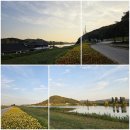 구드래 선착장 화장실 이미지