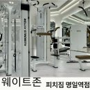 피치짐 - 서초구 명달로20길 21 | 피치짐