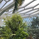 조은꽃식물원 이미지