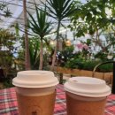 장수상회 | 김포 대형카페 장수상회 김포의아침 방문후기(돌체라떼 진저 레몬티)