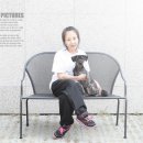 동물사랑애견샵 이미지