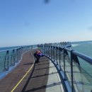 해동용궁사 이미지