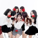 미스터포토 - 남구 삼산중로74번길 11 | 미스터포토