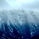 천도리양지마을 이미지