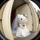 라온유통 | W_1_웨딩홀을 보다[라온제나, 라온웨딩, 라테라스, 노비아갈라 전자관]