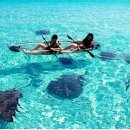 월정리마을회 이미지