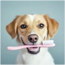 아이러브강아지 이미지