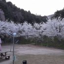 개화펜션 이미지