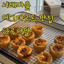 하루한알 티스토리