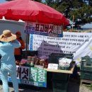 규형농장 네이버블로그