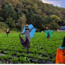 한터농원영농조합 이미지