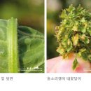 황각천 티스토리