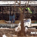 이병찬농장 이미지