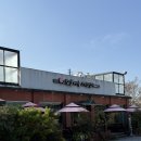 벚꽃나들버섯집 | 대구 달성군 옥포읍 몸보신은 여기서! 버섯전골 맛집 벚꽃나들버섯집