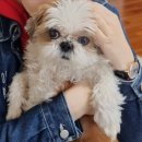 두란농장 | 2000day🍬♡