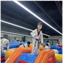 혁신 태권도 이미지