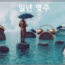 일년은 몇주 일년은 몇시간 일년은 몇초 일까 이미지