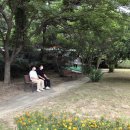 장명동 주민센터 이미지