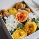 지구박스 이미지