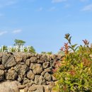 클랭블루스테이커플&숙소&독채 이미지