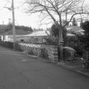 강정동-40 이미지