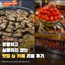 상하이 홍차오 한인타운 여긴 꼭 가보자! 맛집, 카페 리얼 후기