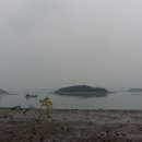 녹진무궁화동산 이미지