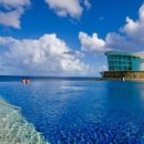 로얄룸클럽 이미지